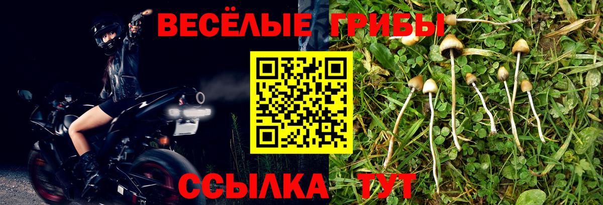 Псилоцибиновые грибы GOLDEN TEACHER  Вход с VPN  Галлюциногенные грибы прущие грибы  купить наркоту  Сочи 